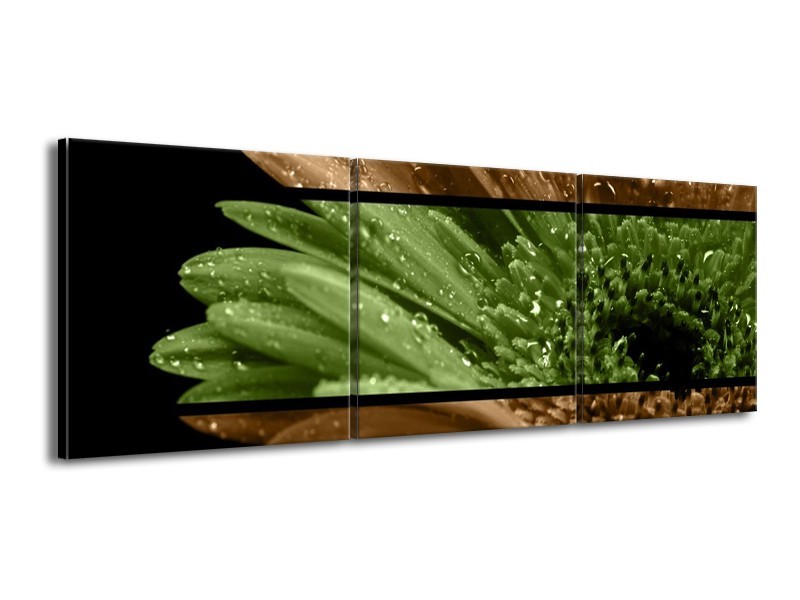 Canvas schilderij Bloem | Groen, Bruin | 150x50cm 3Luik