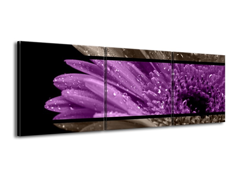Canvas schilderij Bloem | Paars, Grijs | 150x50cm 3Luik
