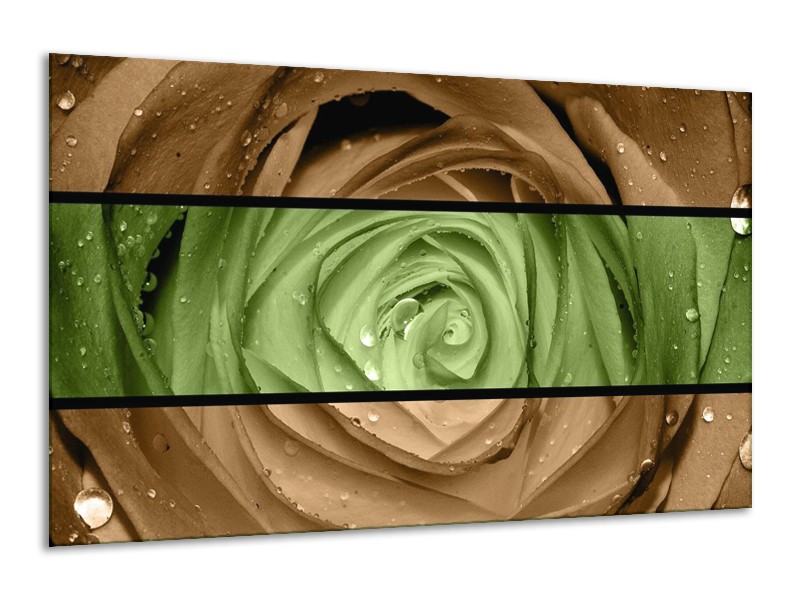 Canvas schilderij Roos | Groen, Bruin | 120x70cm 1Luik