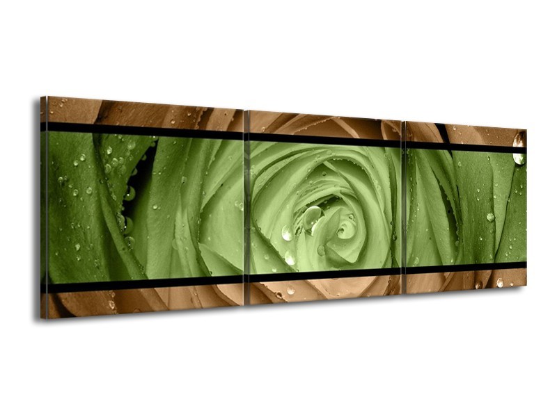 Canvas schilderij Roos | Groen, Bruin | 150x50cm 3Luik