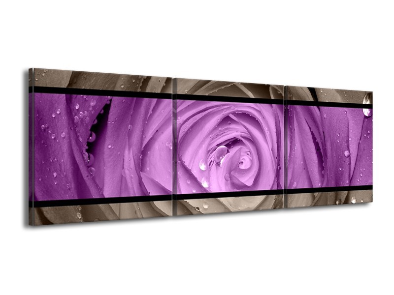 Canvas schilderij Roos | Paars, Grijs | 150x50cm 3Luik