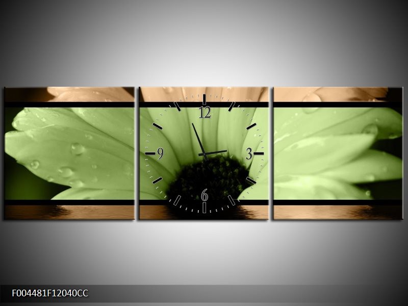 Klok schilderij Bloem | Bruin, Groen, Zwart | 120x40cm 3Luik