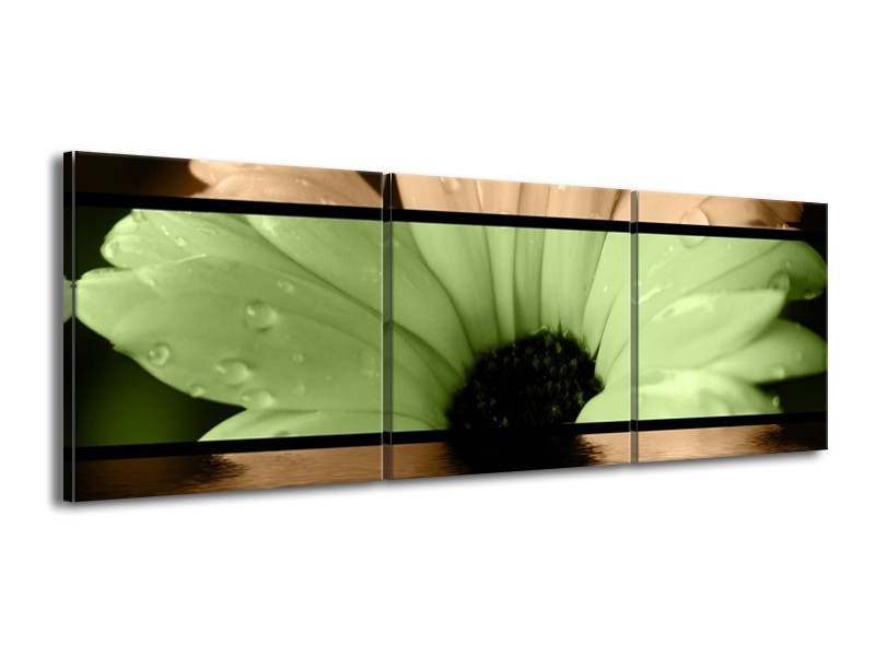 Canvas schilderij Bloem | Bruin, Groen, Zwart | 150x50cm 3Luik