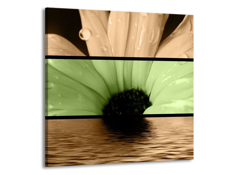 Canvas schilderij Bloem | Bruin, Groen, Zwart | 50x50cm 1Luik