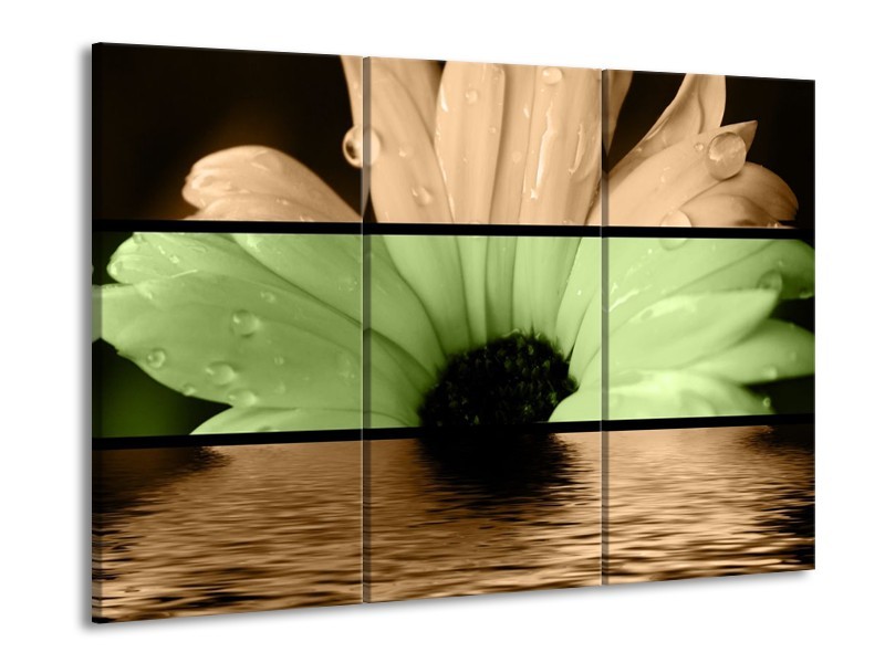 Glas schilderij Bloem | Bruin, Groen, Zwart | 90x60cm 3Luik