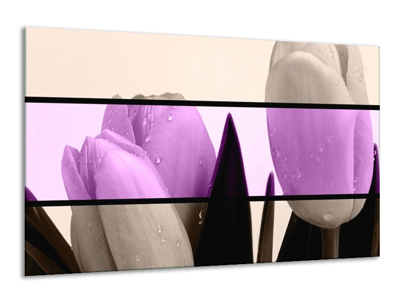 Canvas schilderij Tulp | Paars, Grijs, Zwart | 120x70cm 1Luik