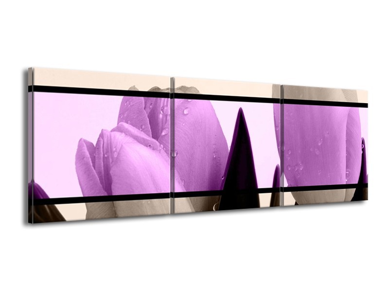 Canvas schilderij Tulp | Paars, Grijs, Zwart | 150x50cm 3Luik