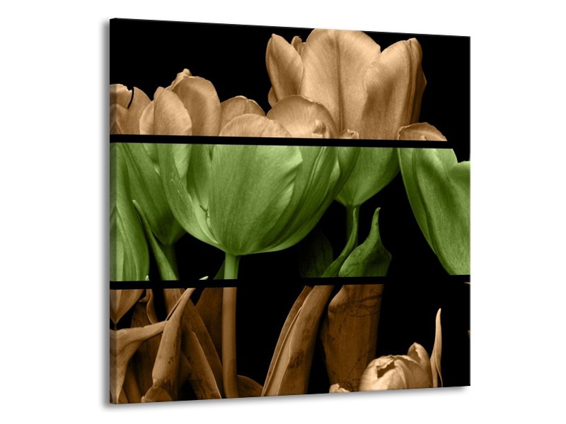 Canvas schilderij Tulp | Groen, Bruin, Zwart | 50x50cm 1Luik