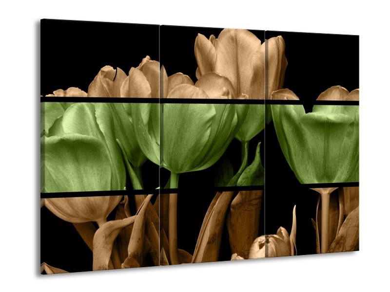 Canvas schilderij Tulp | Groen, Bruin, Zwart | 90x60cm 3Luik