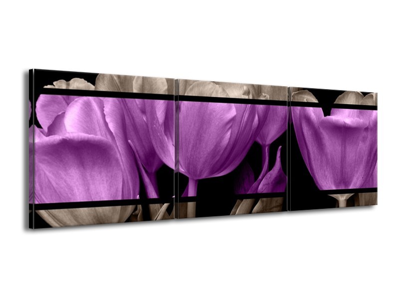 Canvas schilderij Tulp | Paars, Grijs, Zwart | 150x50cm 3Luik