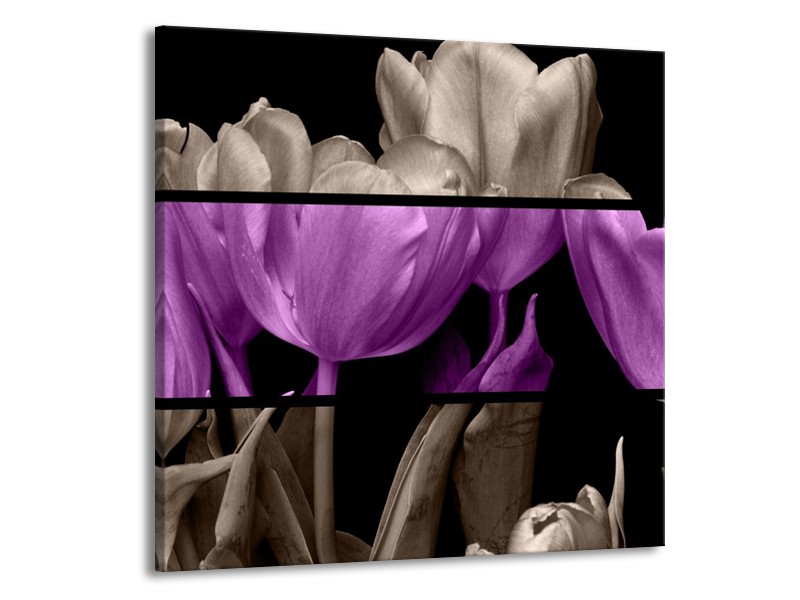 Canvas schilderij Tulp | Paars, Grijs, Zwart | 50x50cm 1Luik