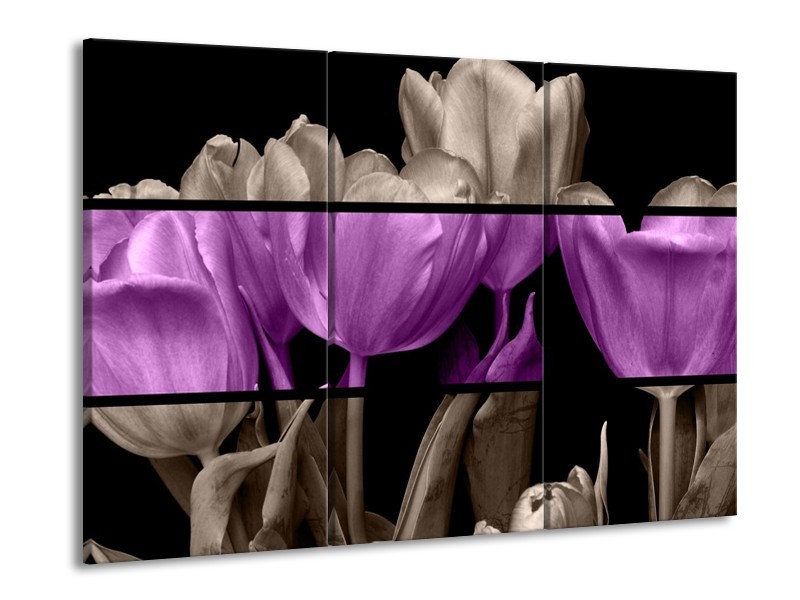 Glas schilderij Tulp | Paars, Grijs, Zwart | 90x60cm 3Luik