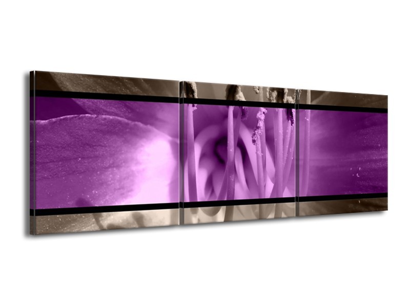 Canvas schilderij Bloem | Paars, Grijs, Zwart | 150x50cm 3Luik