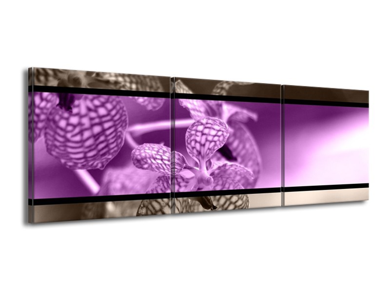 Canvas schilderij Orchidee | Paars, Grijs, Zwart | 150x50cm 3Luik