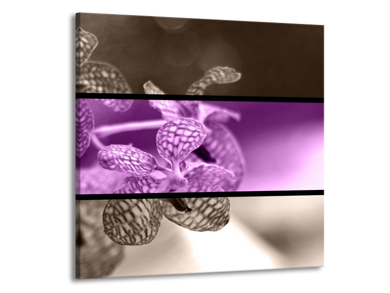 Glas schilderij Orchidee | Paars, Grijs, Zwart | 50x50cm 1Luik