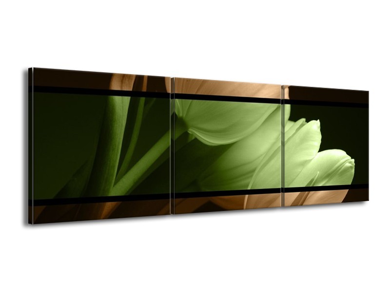 Canvas schilderij Tulp | Groen, Bruin, Zwart | 150x50cm 3Luik