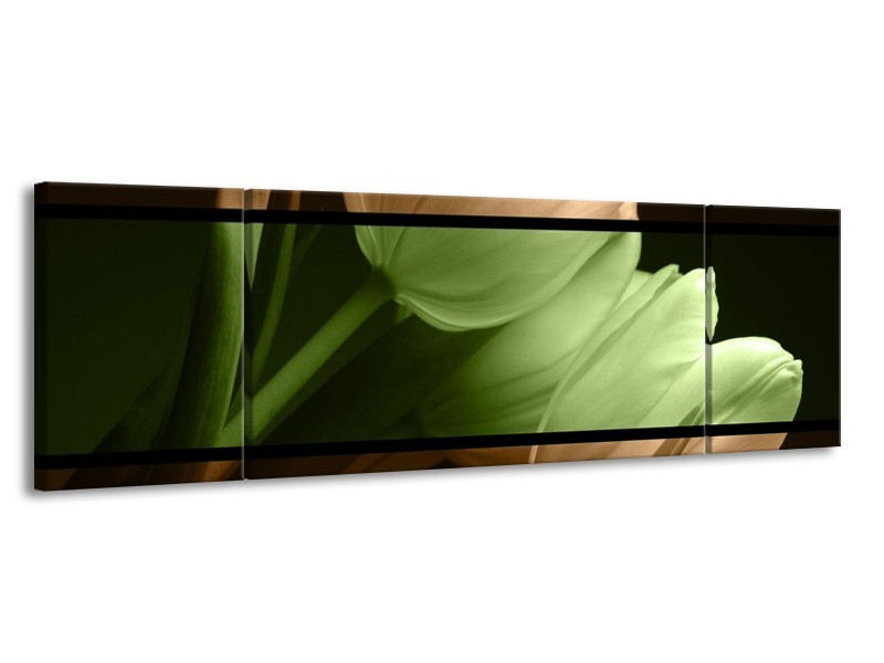 Glas schilderij Tulp | Groen, Bruin, Zwart | 170x50cm 3Luik