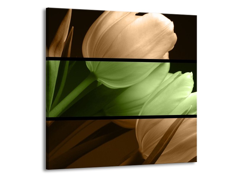 Canvas schilderij Tulp | Groen, Bruin, Zwart | 70x70cm 1Luik