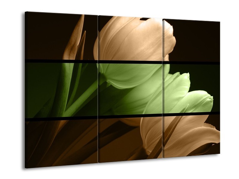 Canvas schilderij Tulp | Groen, Bruin, Zwart | 90x60cm 3Luik