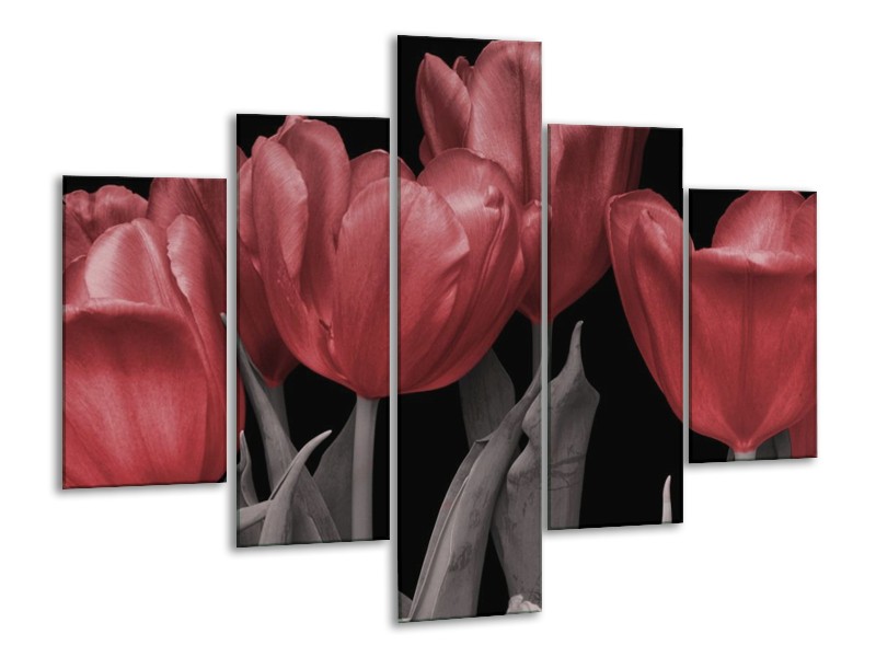 Canvas schilderij Tulp | Rood, Grijs, Zwart | 100x70cm 5Luik