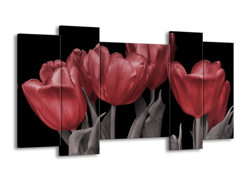 Canvas schilderij Tulp | Rood, Grijs, Zwart | 120x65 5Luik