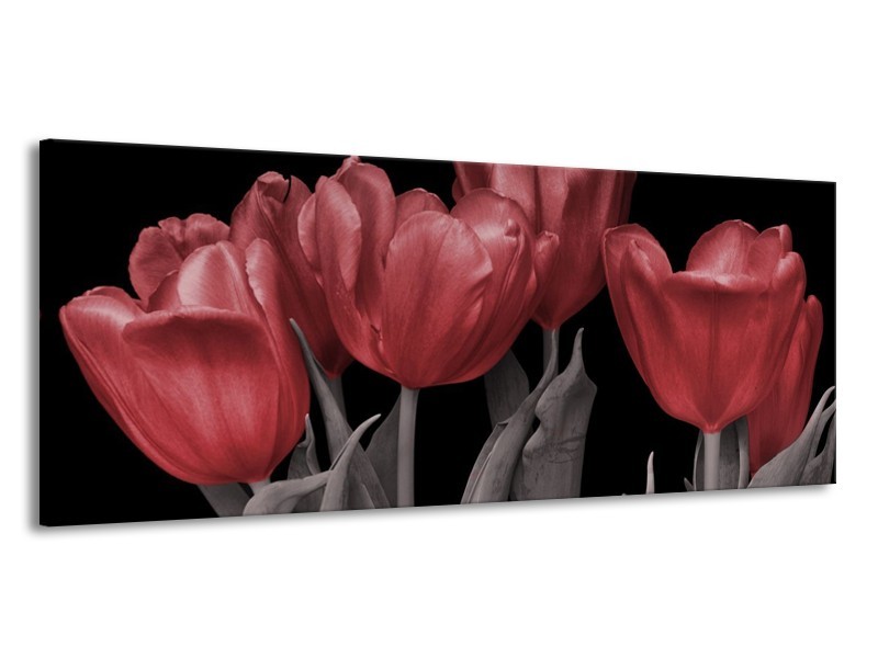 Canvas schilderij Tulp | Rood, Grijs, Zwart | 145x58cm 1Luik
