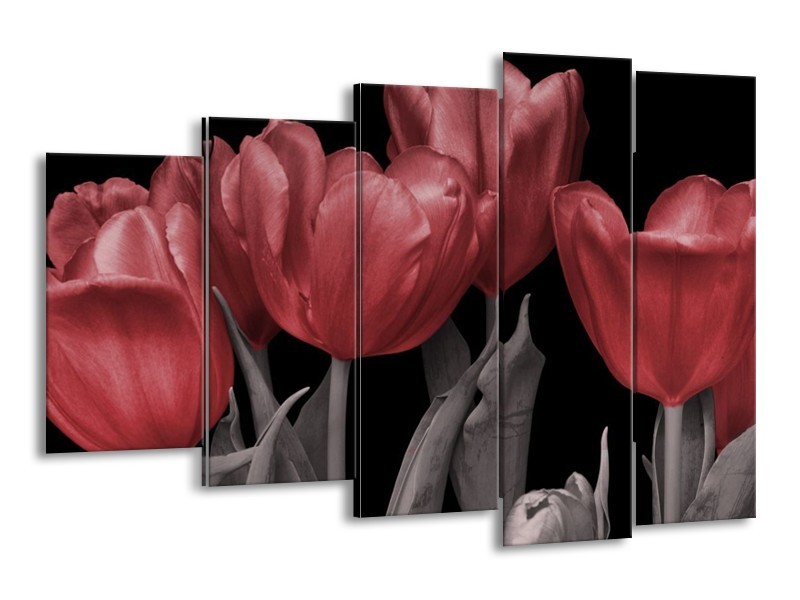 Canvas schilderij Tulp | Rood, Grijs, Zwart | 150x100cm 5Luik