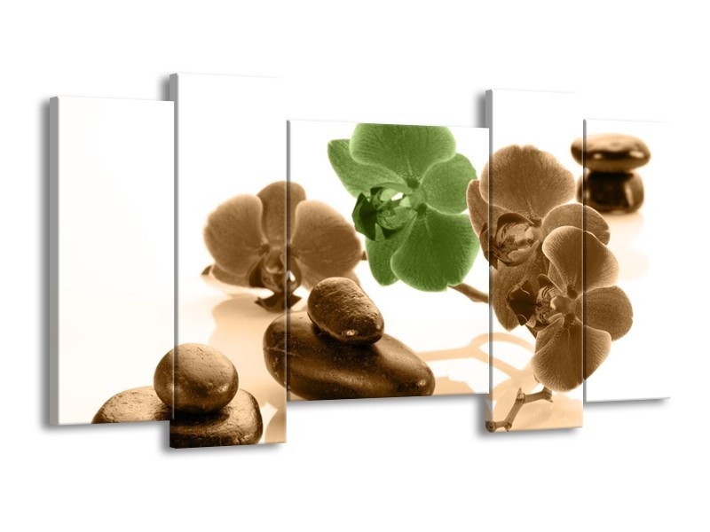 Canvas schilderij Orchidee | Groen, Bruin, Wit | 120x65 5Luik