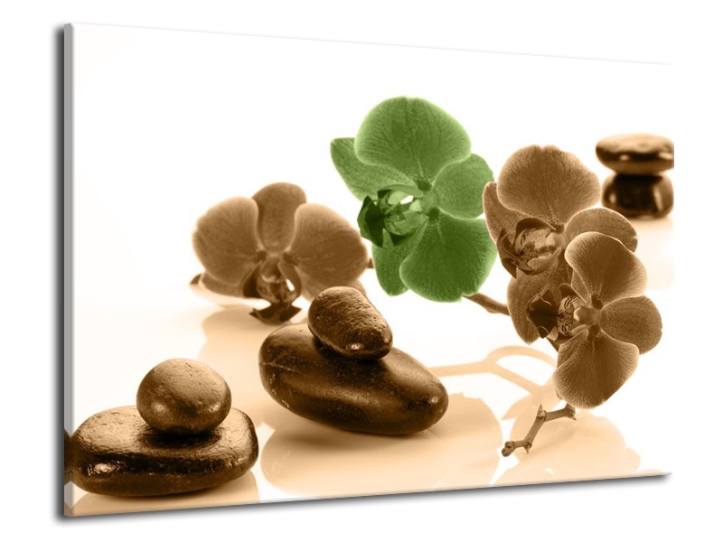 Canvas schilderij Orchidee | Groen, Bruin, Wit | 70x50cm 1Luik