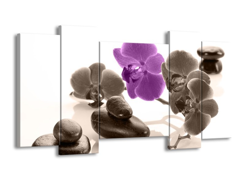 Canvas schilderij Orchidee | Paars, Grijs, Wit | 120x65 5Luik