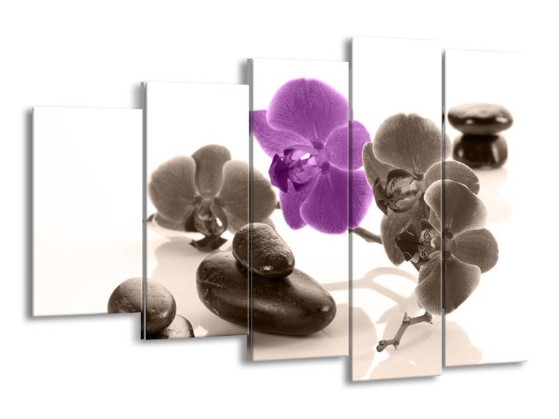 Canvas schilderij Orchidee | Paars, Grijs, Wit | 150x100cm 5Luik