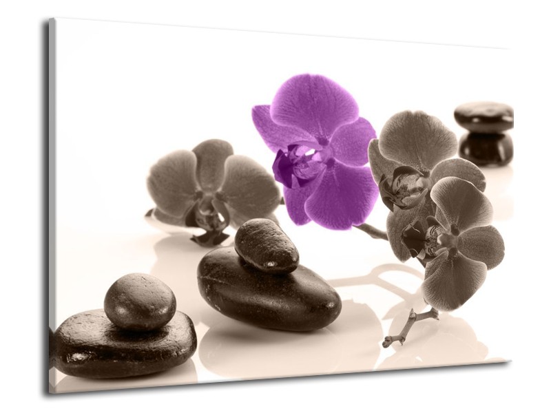 Canvas schilderij Orchidee | Paars, Grijs, Wit | 70x50cm 1Luik