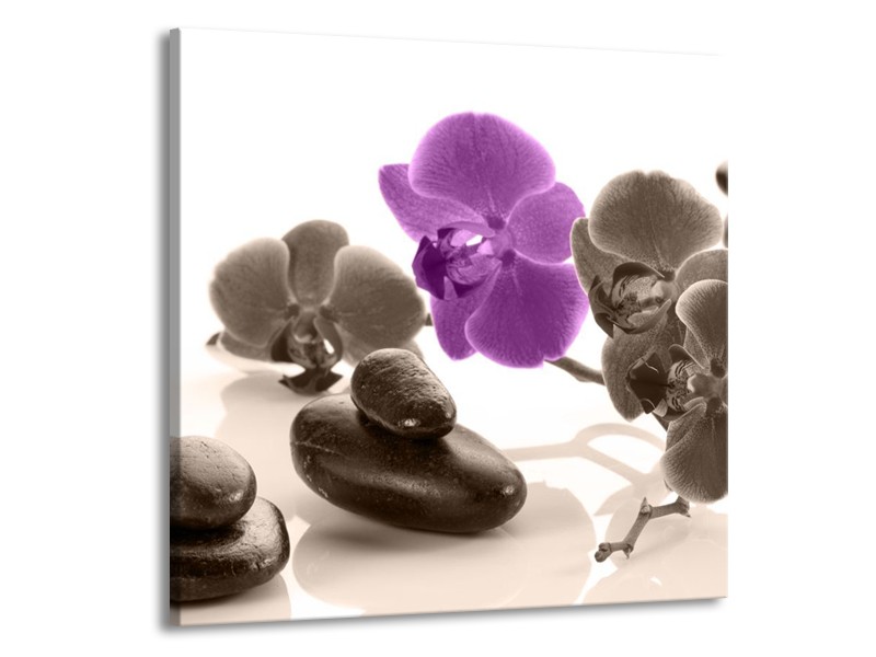 Canvas schilderij Orchidee | Paars, Grijs, Wit | 70x70cm 1Luik