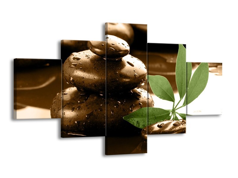 Canvas schilderij Spa | Bruin, Groen, Wit | 125x70cm 5Luik