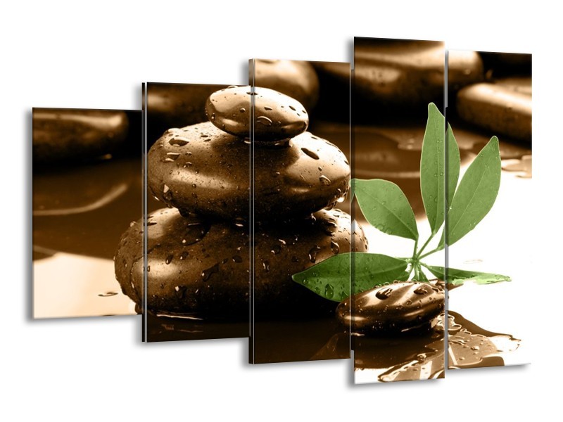 Canvas schilderij Spa | Bruin, Groen, Wit | 150x100cm 5Luik