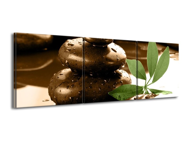 Canvas schilderij Spa | Bruin, Groen, Wit | 150x50cm 3Luik
