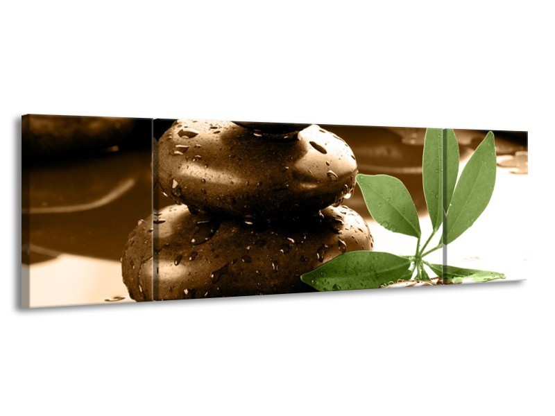 Canvas schilderij Spa | Bruin, Groen, Wit | 170x50cm 3Luik