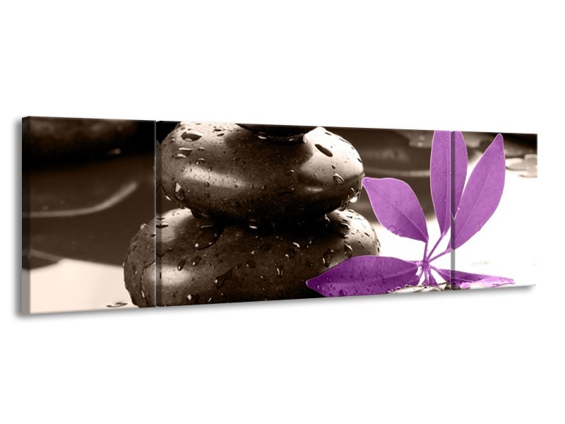 Canvas schilderij Spa | Zwart, Paars, Wit | 170x50cm 3Luik