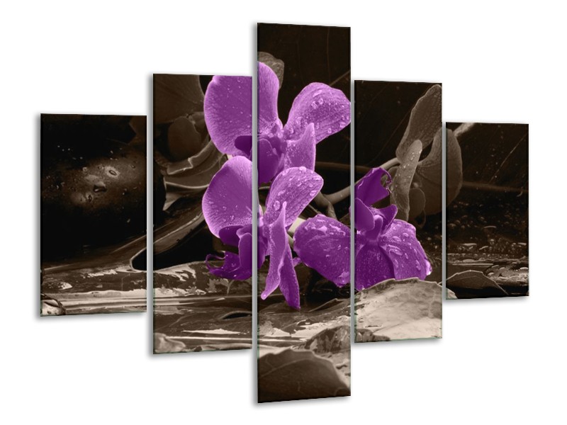 Canvas schilderij Orchidee | Paars, Grijs | 100x70cm 5Luik