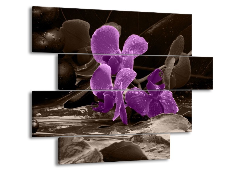 Canvas schilderij Orchidee | Paars, Grijs | 115x85cm 4Luik
