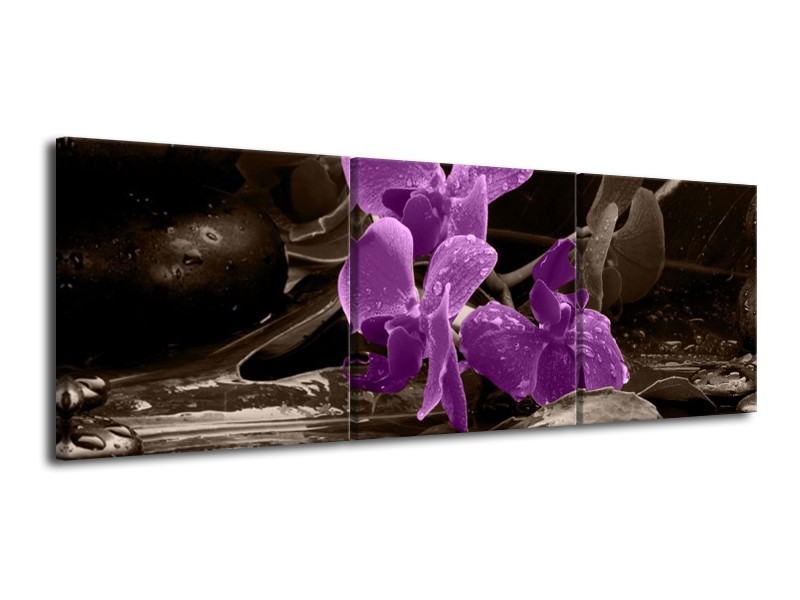Glas schilderij Orchidee | Paars, Grijs | 120x40cm 3Luik