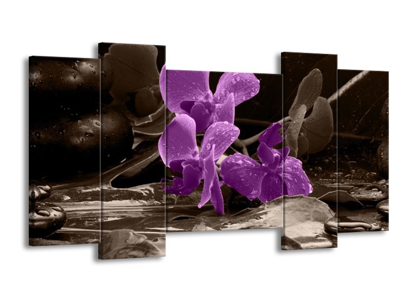 Canvas schilderij Orchidee | Paars, Grijs | 120x65 5Luik