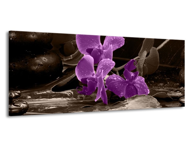 Canvas schilderij Orchidee | Paars, Grijs | 145x58cm 1Luik