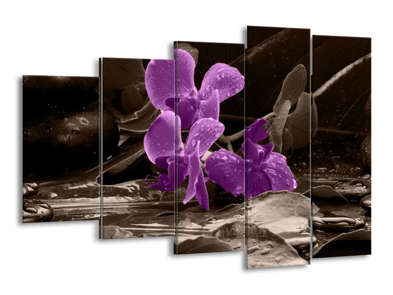 Canvas schilderij Orchidee | Paars, Grijs | 150x100cm 5Luik