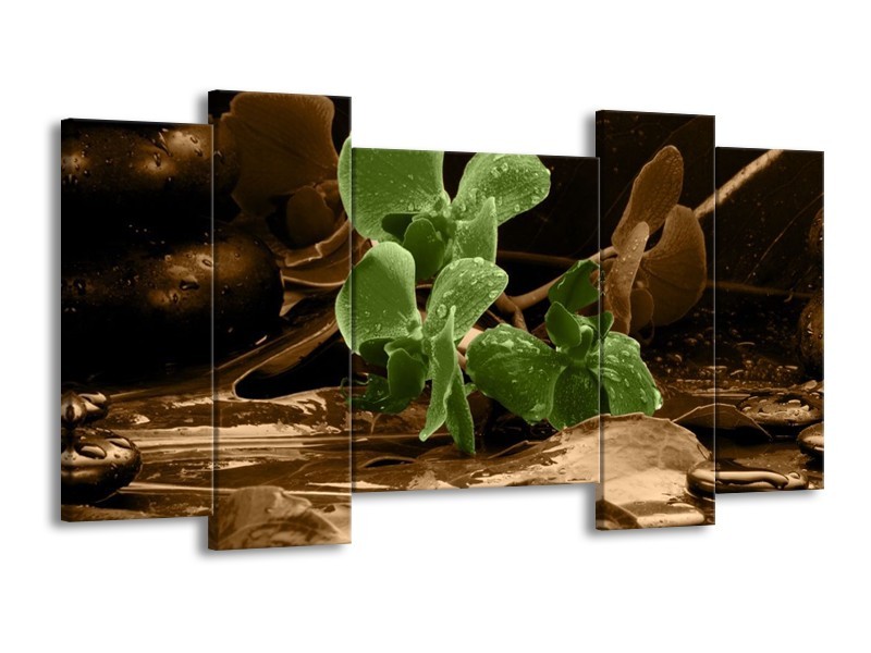 Canvas schilderij Orchidee | Groen, Bruin | 120x65 5Luik