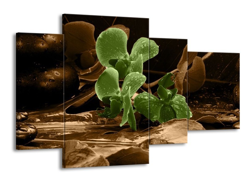 Canvas schilderij Orchidee | Groen, Bruin | 120x75cm 4Luik