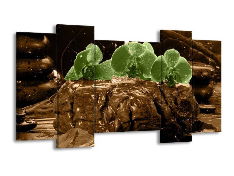 Canvas schilderij Orchidee | Groen, Bruin | 120x65 5Luik