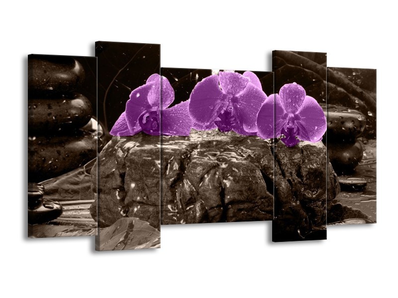 Canvas schilderij Orchidee | Paars, Grijs | 120x65 5Luik