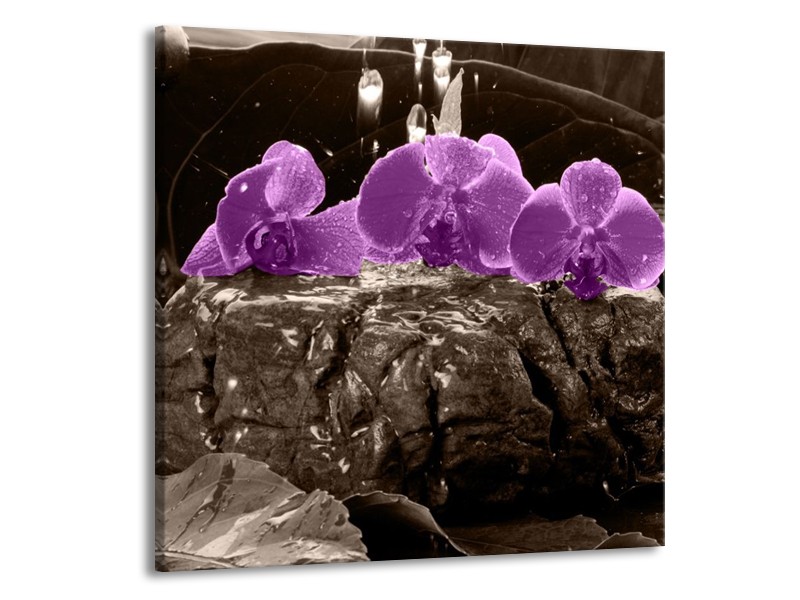 Canvas schilderij Orchidee | Paars, Grijs | 70x70cm 1Luik