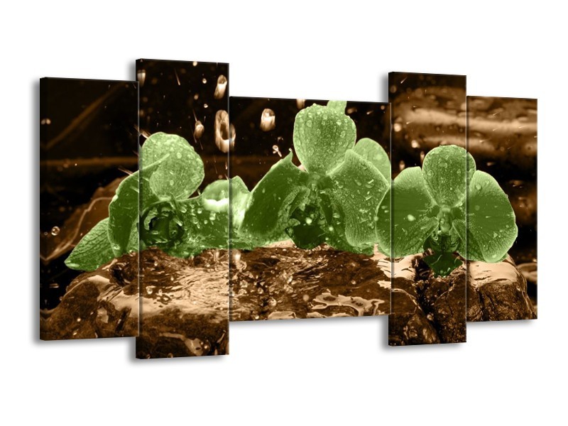 Canvas schilderij Orchidee | Groen, Bruin | 120x65 5Luik